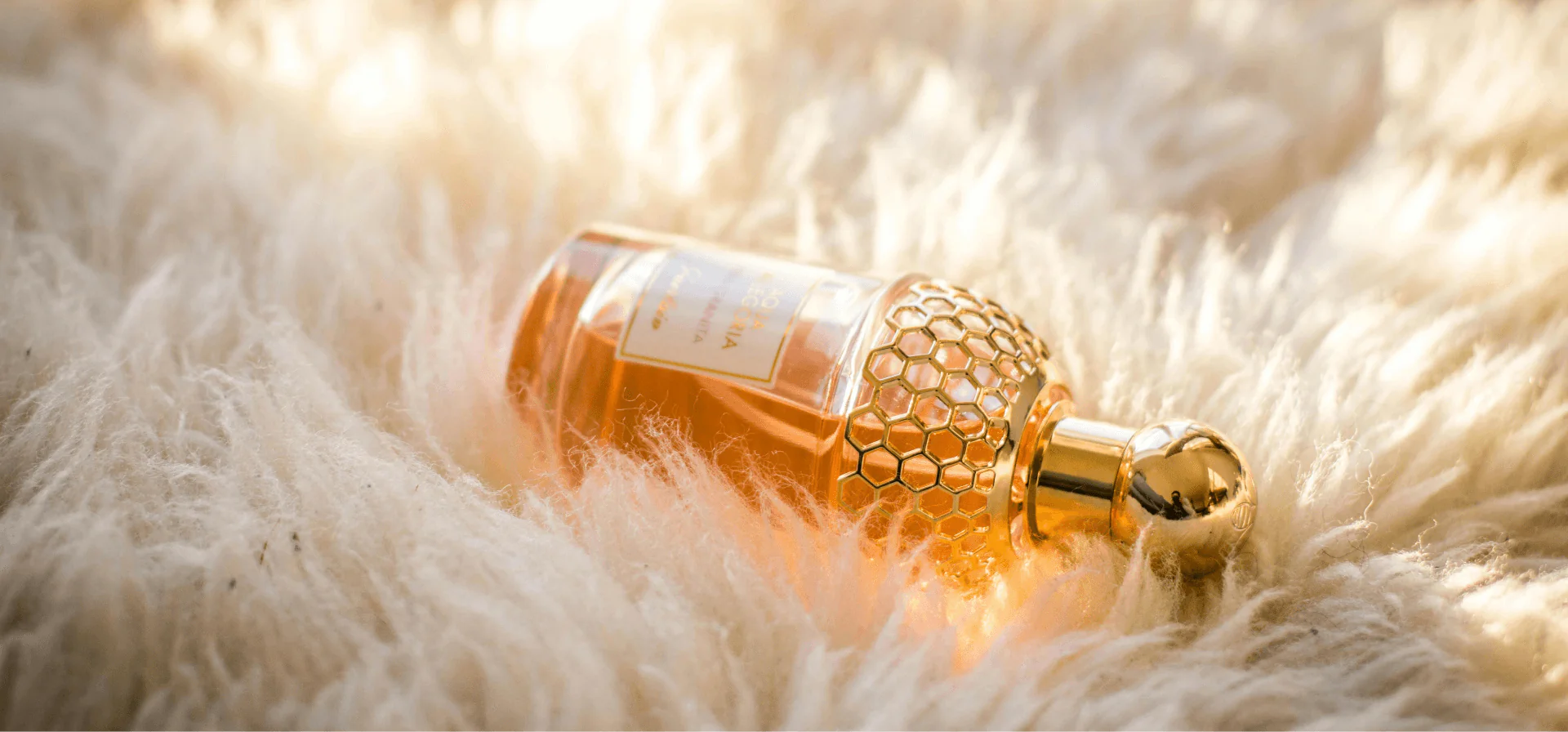 Signature Fragrances Crafted to Inspire Memories and Lasting Impressions